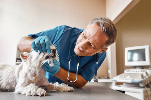 Best Emergency Root Canal Treatment in Richnd, MO